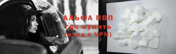 кокс Белокуриха