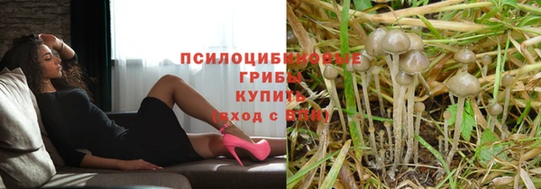 кокс Белокуриха