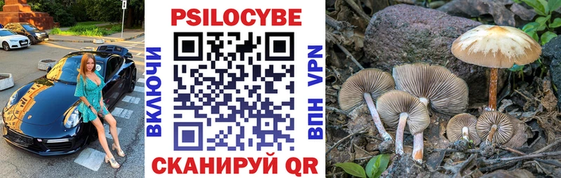 Галлюциногенные грибы ЛСД  Купить закладки  Темников 