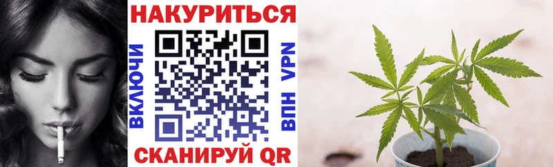 Купить где  Темников  Марихуана ГИДРОПОН 